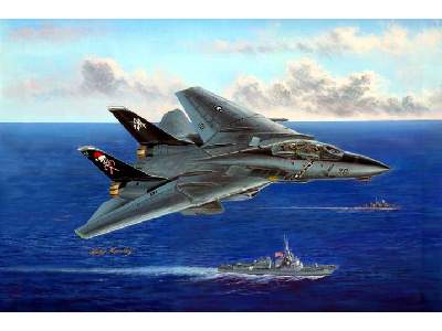 Grumman F-14B Tomcat - image 1