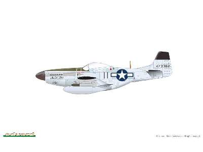 P-51 Mustang - Very Long Range: Tales of Iwojima - image 12