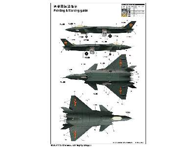 Chinese J-20 Mighty Dragon - image 2
