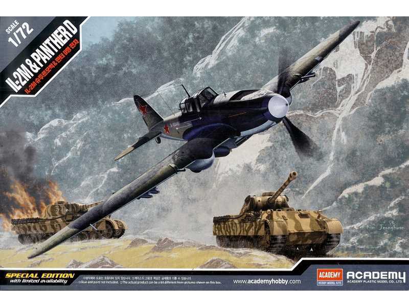 IL-2M & Panther D Special Edition - image 1