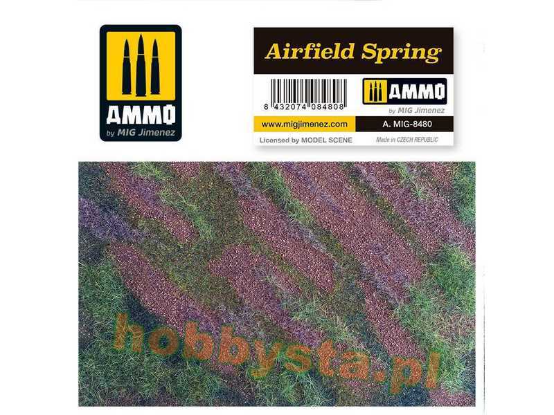 Airfield Spring - image 1