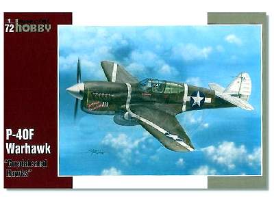 P-40F Warhawk Guadalcanal Hawks - image 1