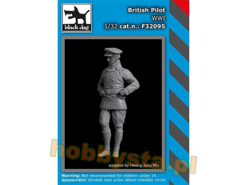 British Pilot WWi - image 1