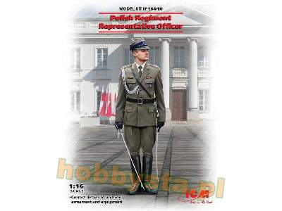 Polish Regiment Representative Officer - image 1
