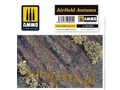Airfield Autumn - image 1