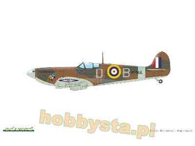 Spitfire Mk.IIa / IIb Tally ho! - image 9