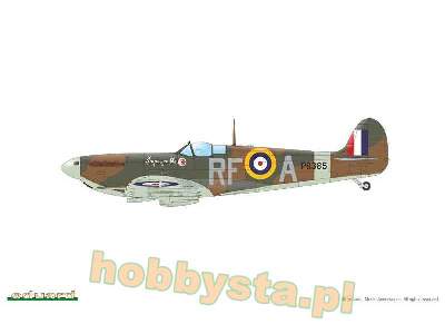 Spitfire Mk.IIa / IIb Tally ho! - image 10