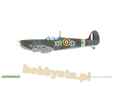 Spitfire Mk.IIa / IIb Tally ho! - image 11