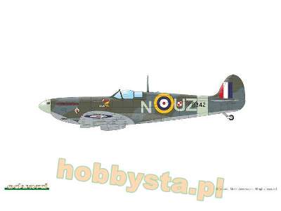 Spitfire Mk.IIa / IIb Tally ho! - image 12