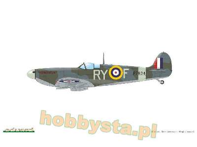 Spitfire Mk.IIa / IIb Tally ho! - image 13