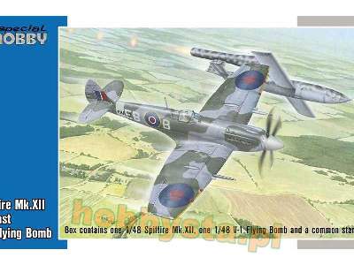 Spitfire Mk.XII against V-1 Flying Bomb - image 1