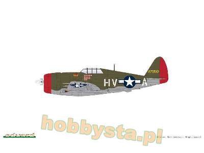 P-47D Razorback - image 2