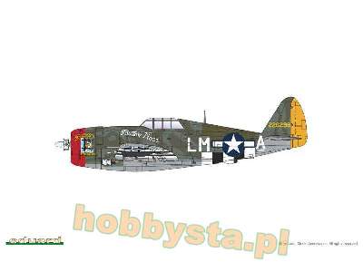 P-47D Razorback - image 3