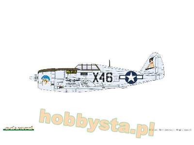 P-47D Razorback - image 4