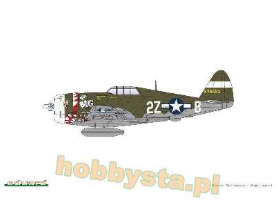 P-47D Razorback - image 5