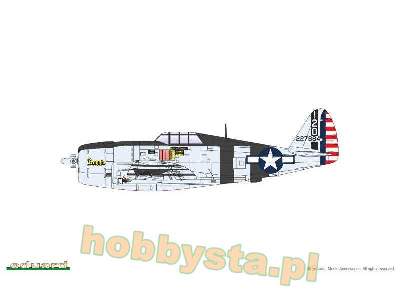 P-47D Razorback - image 6