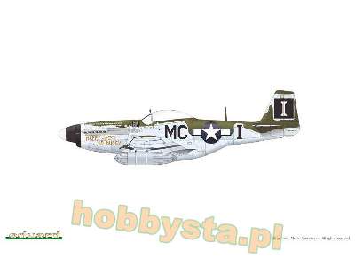P-51D-5 Mustang - image 11