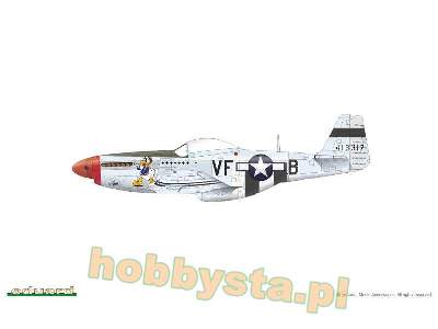 P-51D-5 Mustang - image 13