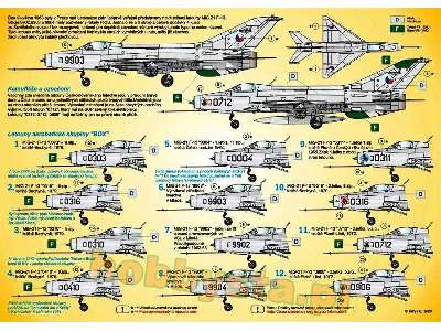 Mig-21 F-13 Csaf - image 2