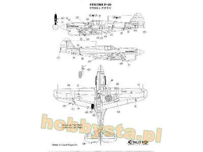 P-40 E/M/N - image 3