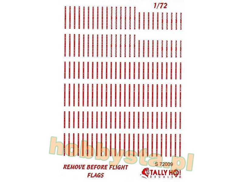 Remove Before Flight - image 1