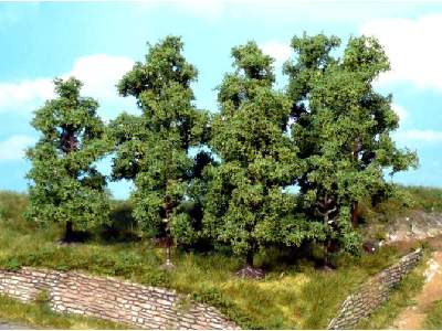 Fruit trees - 5-8 cm - 5 pcs. - image 1
