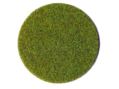 Spring meadow grass fiber - image 1