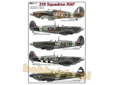 310 Squadron RAF - image 1