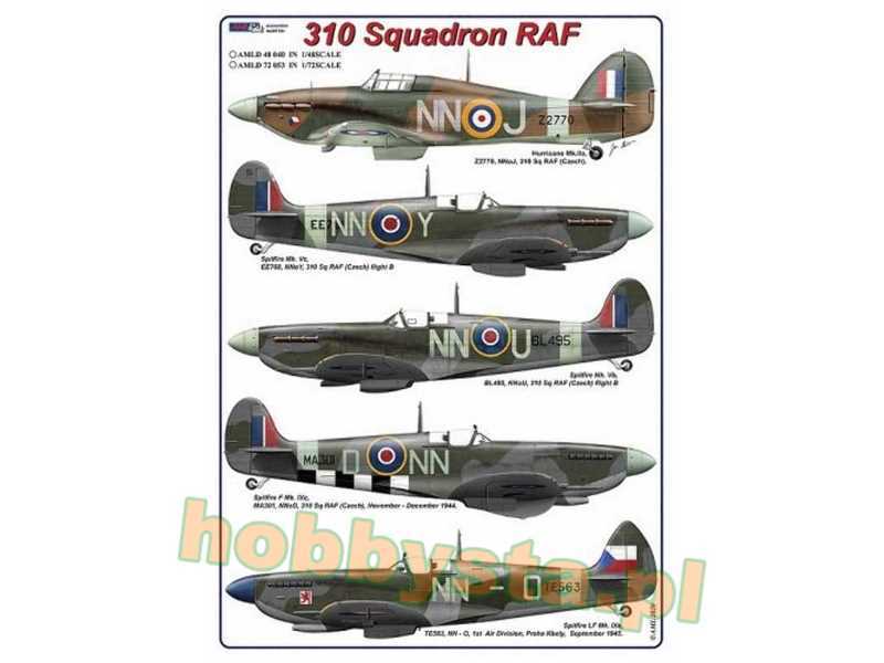 310 Squadron RAF - image 1
