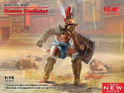 Roman Gladiator - image 1