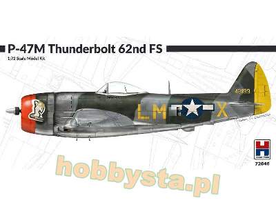 P-47M Thunderbolt 62nd Fighter Sq - image 1