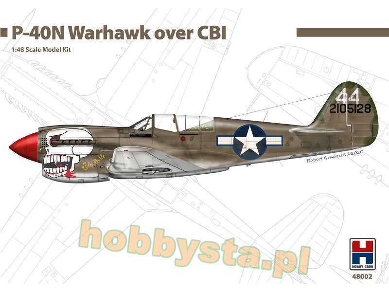 P-40N Warhawk Over CBI - China, Burma, India - image 1
