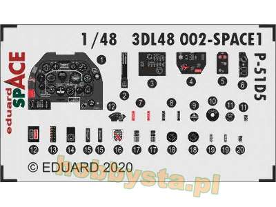 P-51D-5 SPACE 1/48 - image 1