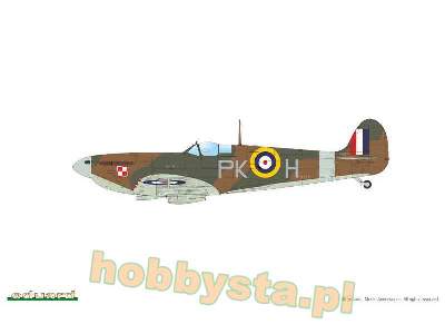 Spitfire Mk. IIa 1/48 - image 3