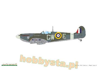 Spitfire Mk. IIa 1/48 - image 6