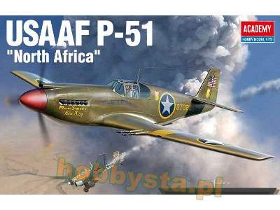 USAAF P-51 - North Africa - image 1