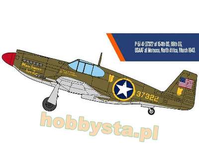 USAAF P-51 - North Africa - image 2
