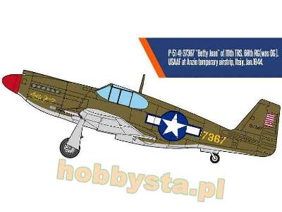 USAAF P-51 - North Africa - image 3