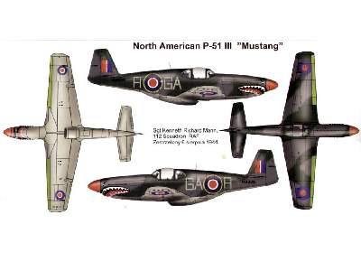 North American P-51 III Mustang - Malcolm Hood - image 2
