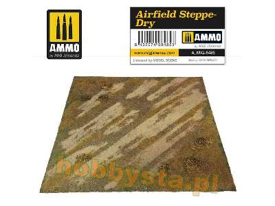 Airfield Steppe-dry - image 1