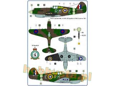 Curtiss P-40cu & Tomahawk I - image 5