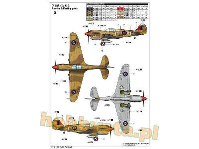 Curtiss P-40M - image 3