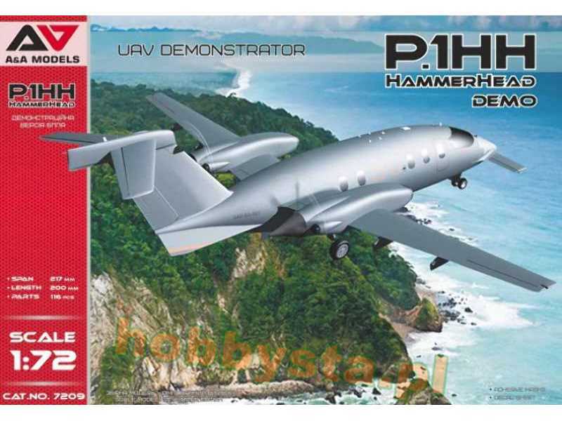 P1.Hh Hammerhead Uav Demostrator - image 1