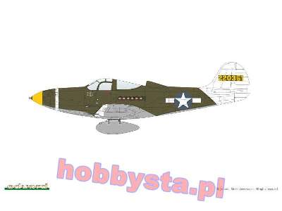 P-39Q Airacobra 1/48 - image 9