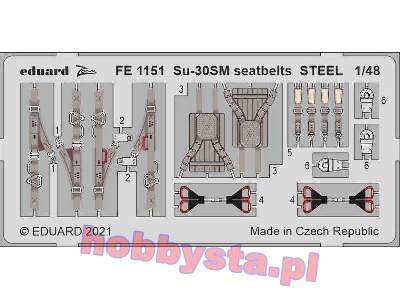 Su-30SM seatbelts STEEL 1/48 - image 1