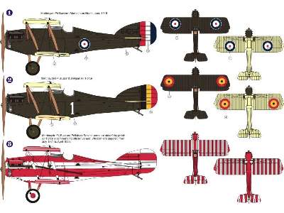 Martynside F.4 Buzzard RAF - image 2