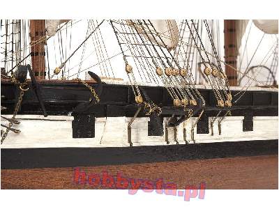 HMS Beagle  - image 7