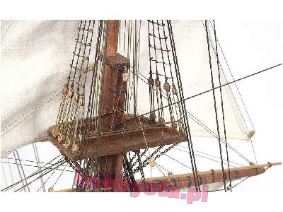 HMS Beagle  - image 12