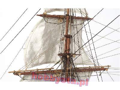 HMS Beagle  - image 13