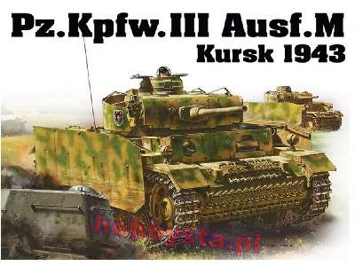 Pz.Kpfw.III Ausf.M Kursk 1943 - image 1
